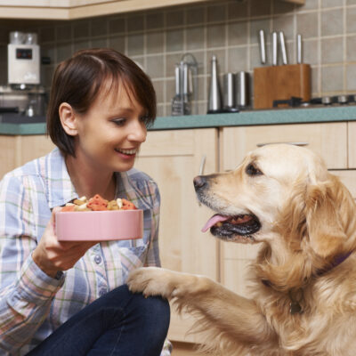 The Symptoms and Triggers of Food Allergies in Pets