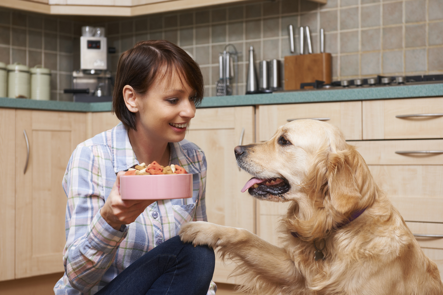 The Symptoms and Triggers of Food Allergies in Pets